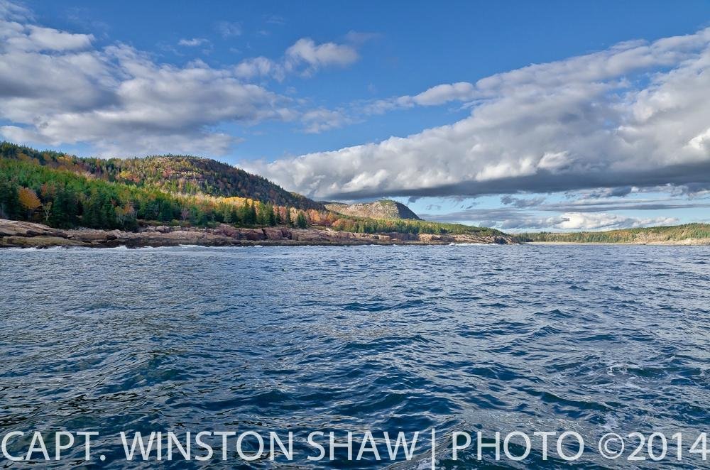 SEA VENTURE BOAT TOURS (Bar Harbor) Ce qu'il faut savoir