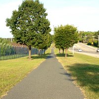Dorsey Rd portion of trail.