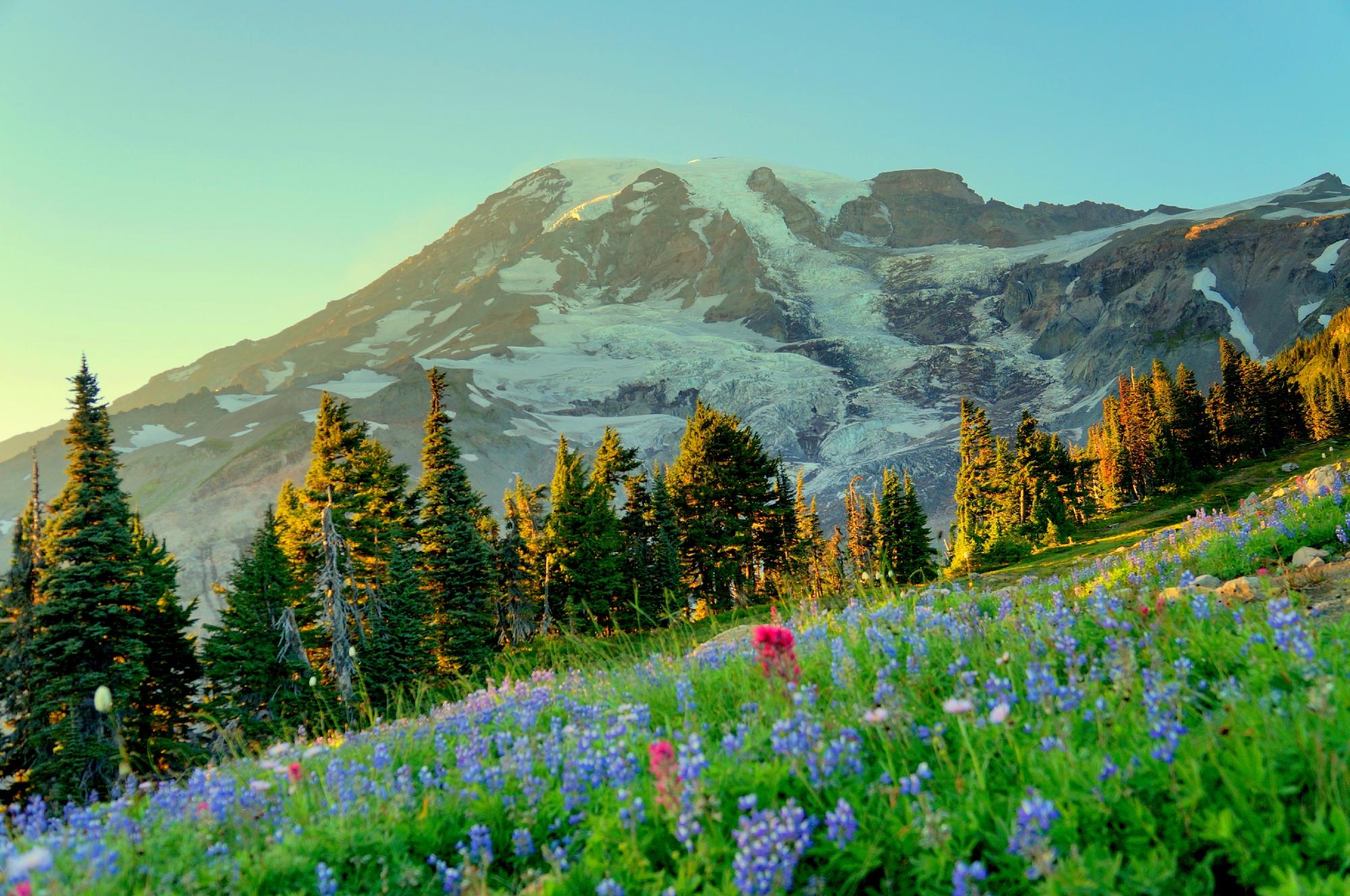 Best hikes 2024 paradise mt rainier