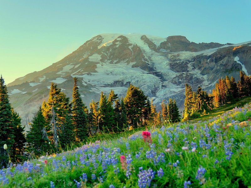 Mount Rainier National Park, WA 2023: Best Places to Visit - Tripadvisor