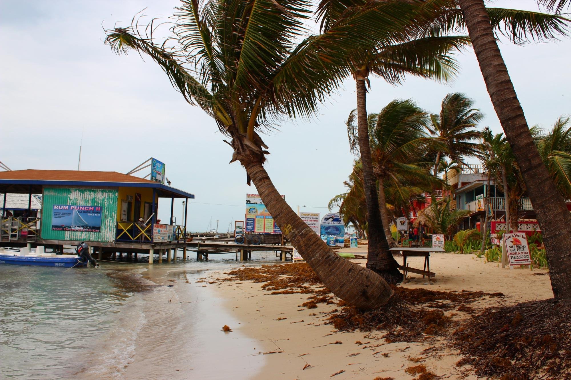 Conch Shell Inn by null