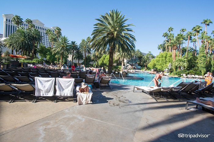 The pool view from our room - Picture of Paris Las Vegas Hotel & Casino,  Paradise - Tripadvisor