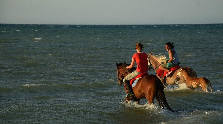 beach ride