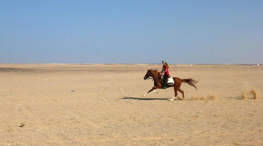 flying in the desert