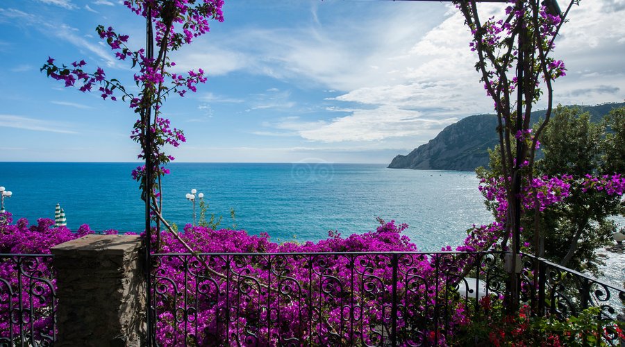 The Terraces at the Hotel Porto Roca