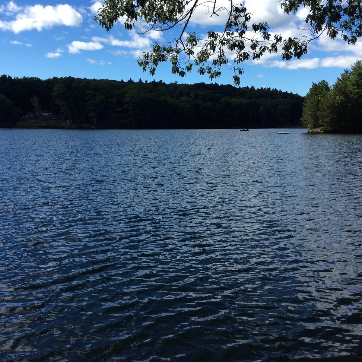 Lake refresh. Озеро хорошее. Ashfield.