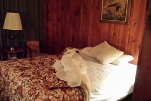 Room & Suite