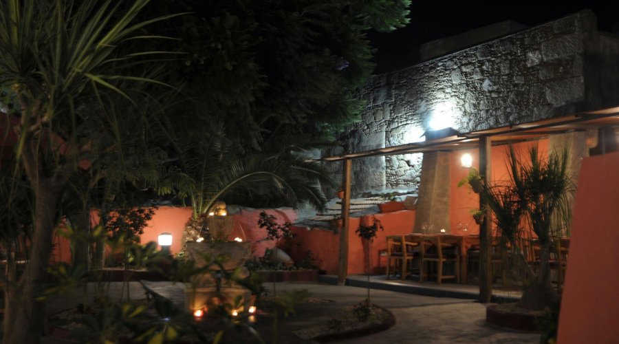 Terraza - jardín de Tara