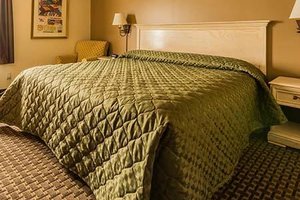 Room & Suite