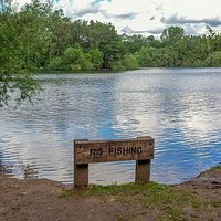 No Fishing, OK?