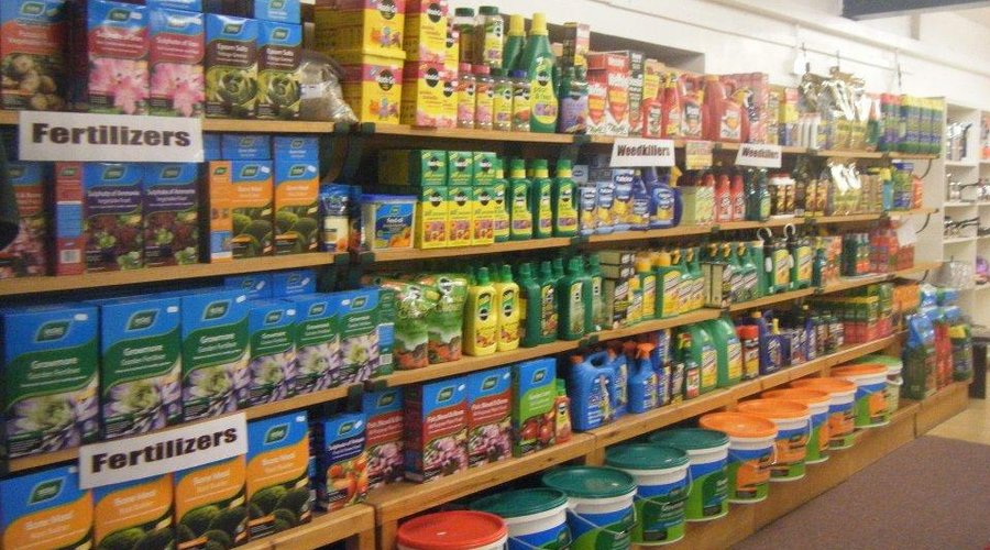 shop