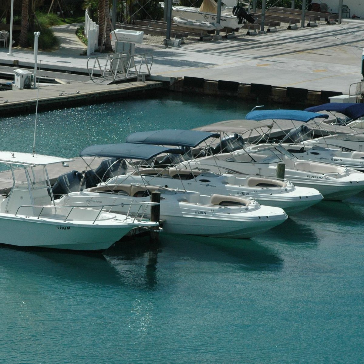 sailboat rental jupiter fl