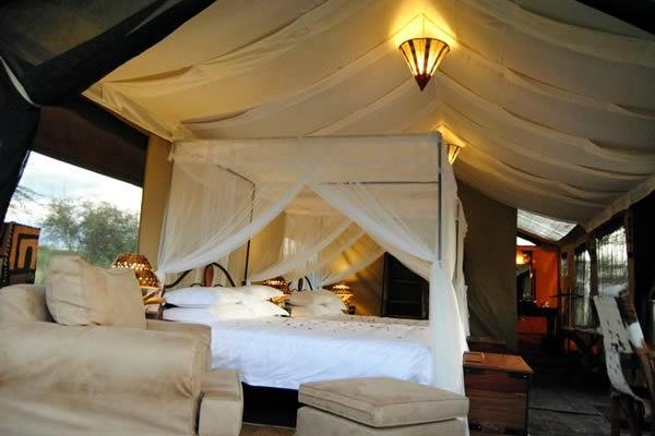 Room View in our luxury tent