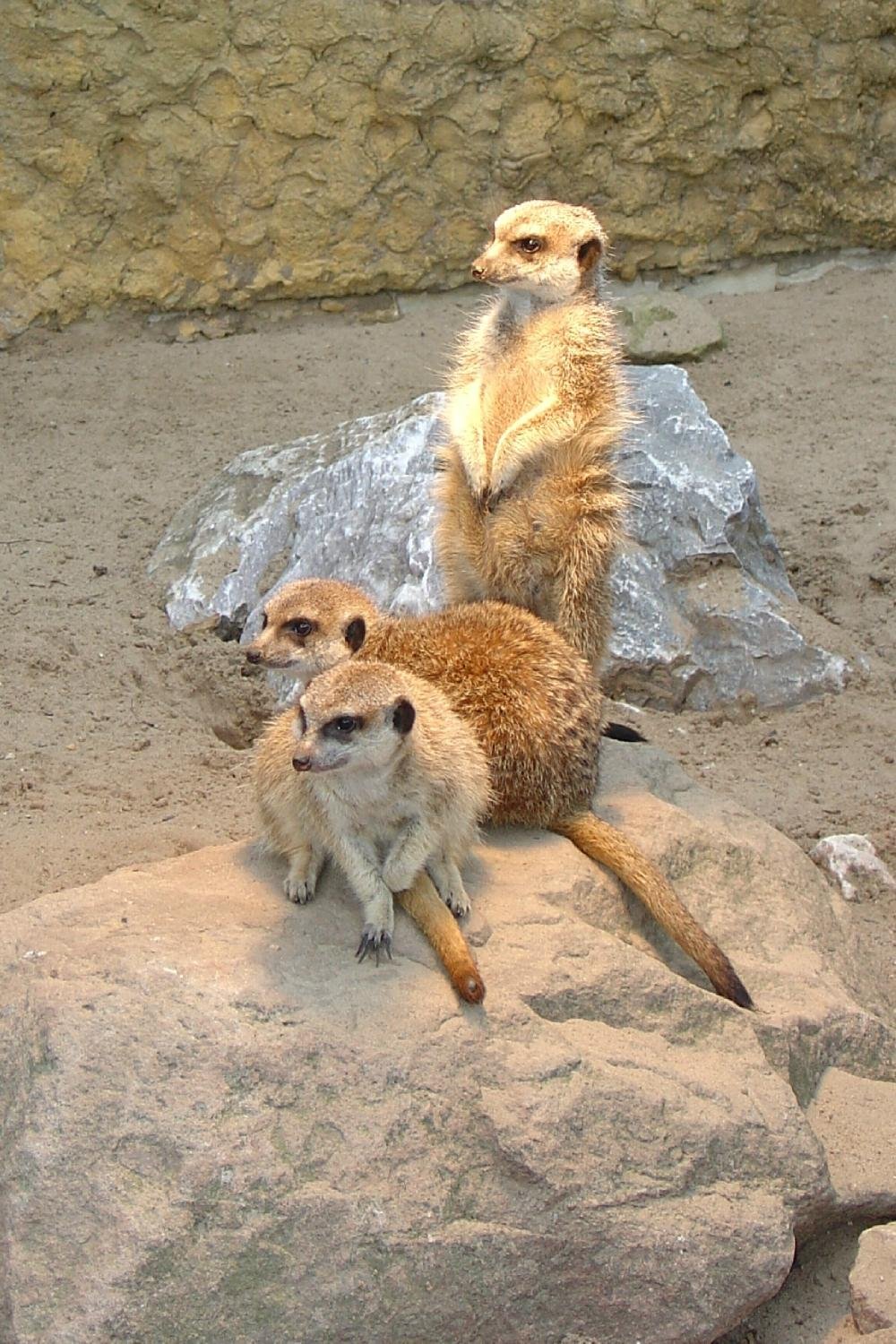 Zoo Plock: лучшие советы перед посещением - Tripadvisor