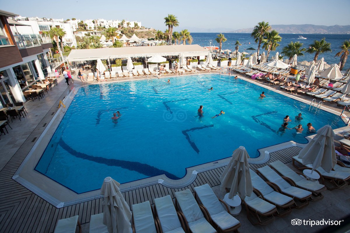 Семейный отдых по фортуне - отзыв о Arin Resort Bodrum, Тургутрейс, Турция  - Tripadvisor