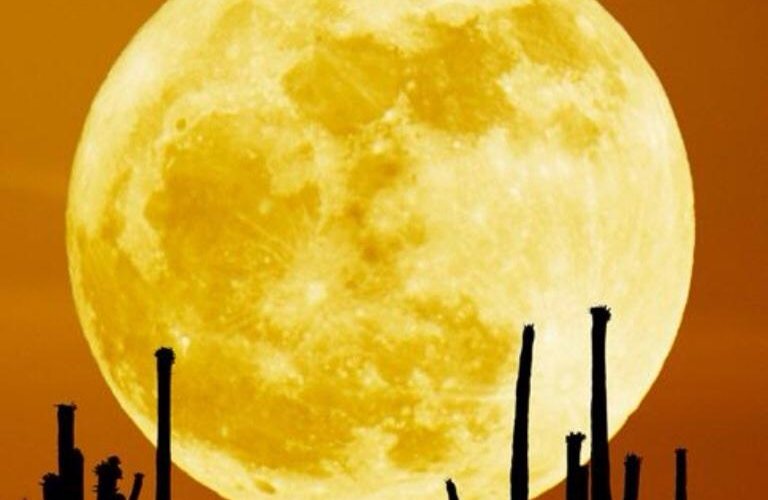 A full moon hanging over the ocean
