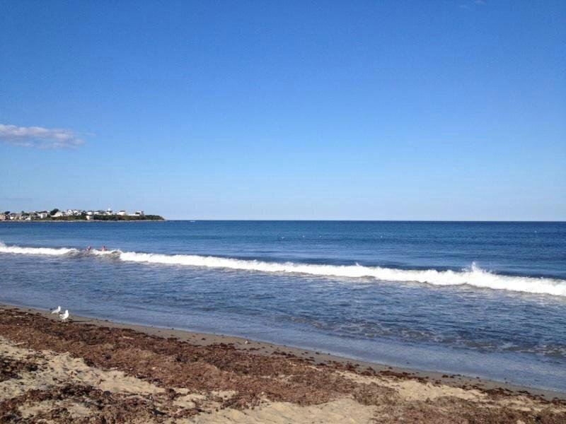 Latina Beach Sex Public Pickups - HAMPTON BEACH STATE PARK: All You Need to Know BEFORE You Go (with Photos)