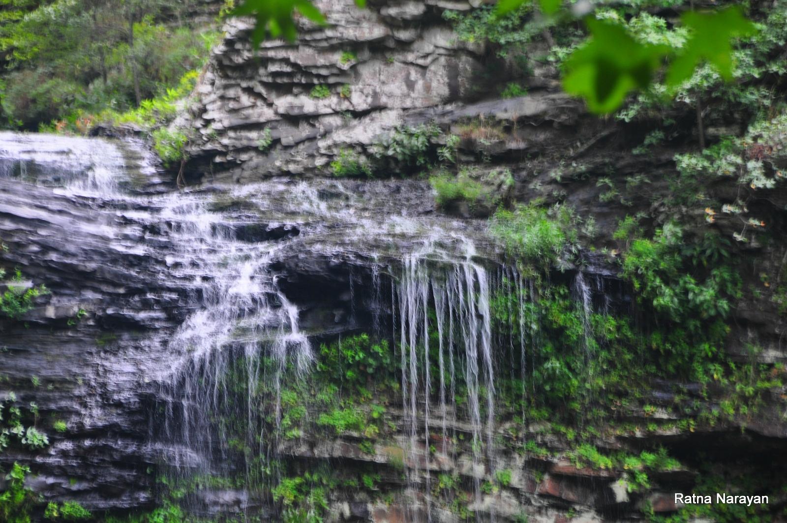 tripadvisor petit jean state park