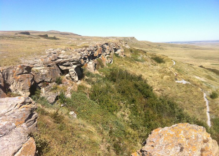 Where the buffalo fell
