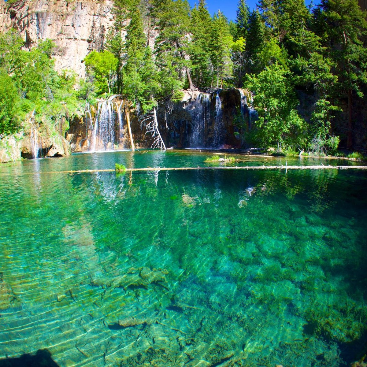 are dogs allowed at hanging lake