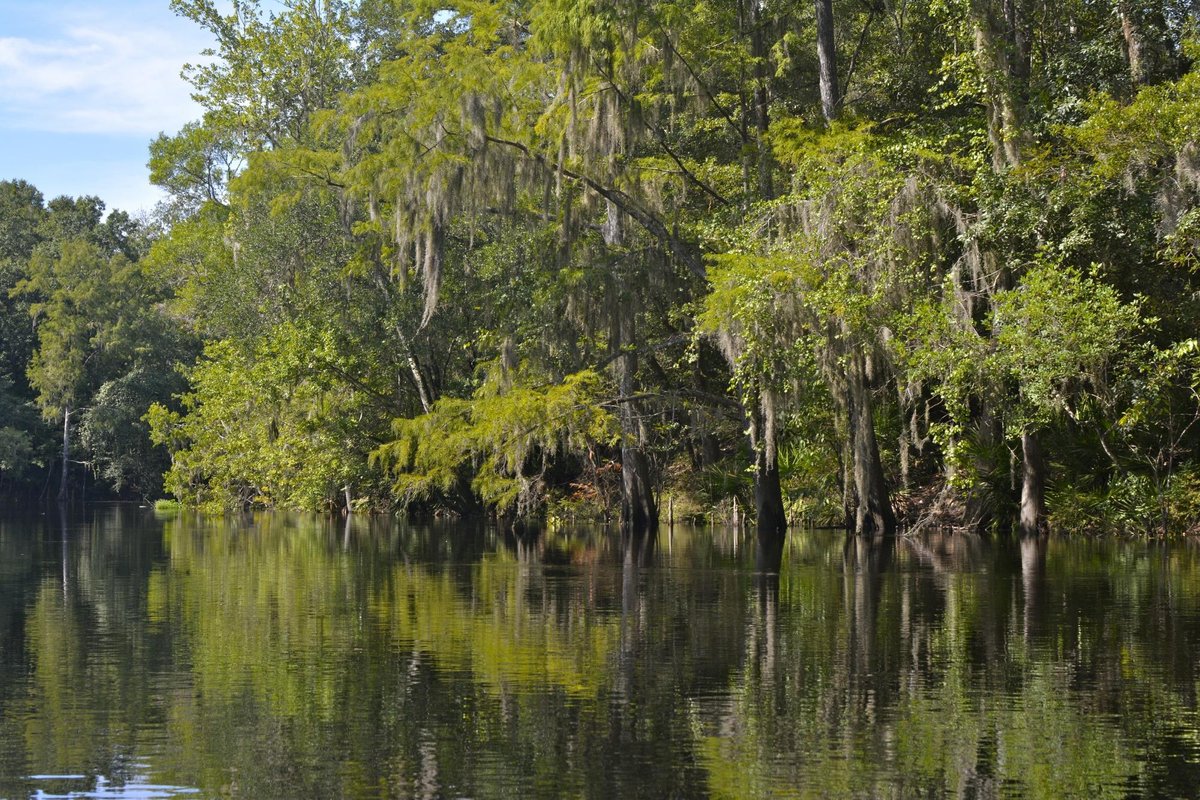 Santa Fe River (Florida) - All You Need to Know BEFORE You Go