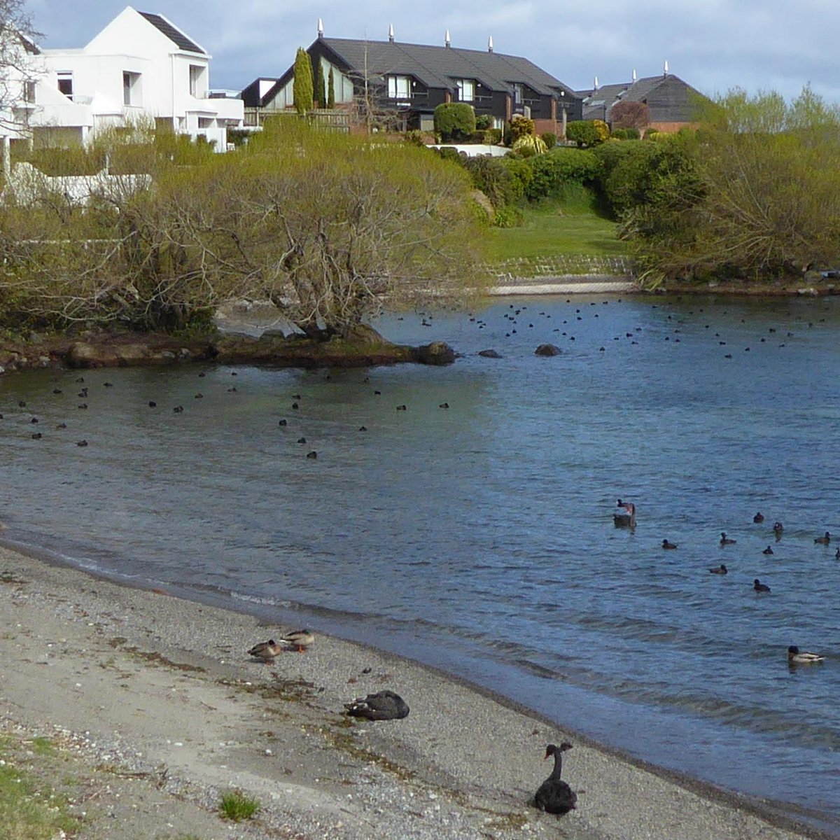 Taupo Bay Beach - Aktuell für 2022 - Lohnt es sich? (Mit fotos)