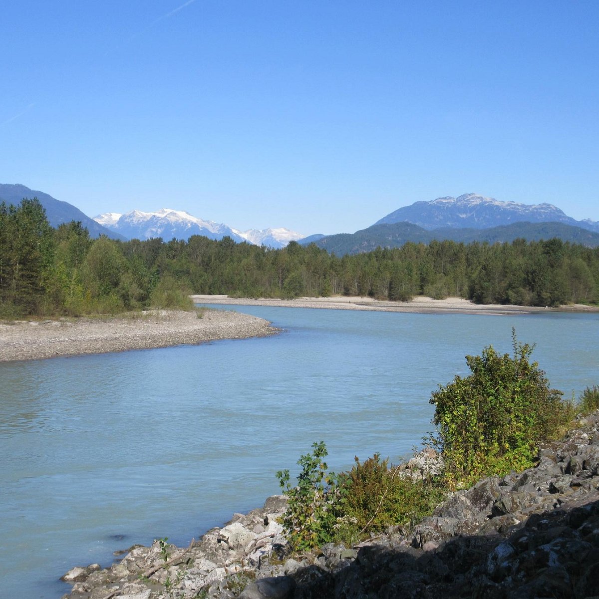 Eagle Viewing in Squamish & Brackendale, BC