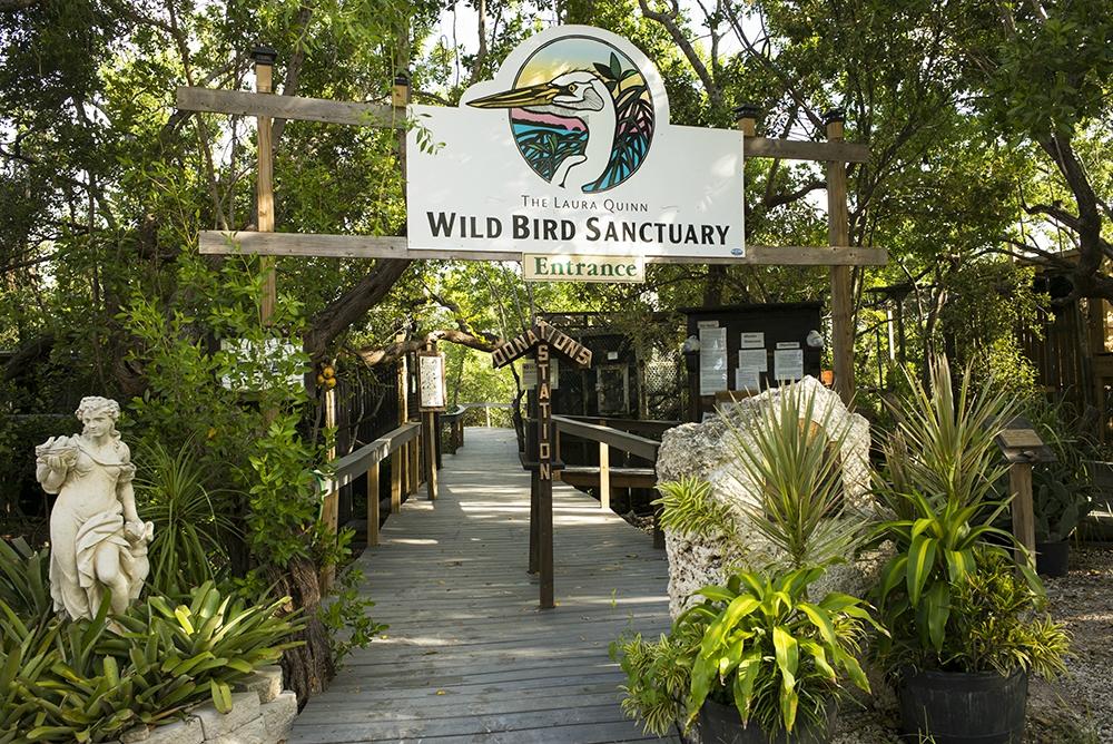 Florida Keys Wild Bird Rehabilitation Center All You Need to