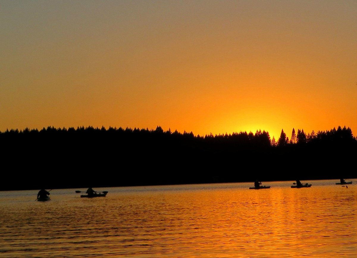 Sasquatch Fishing Sunset