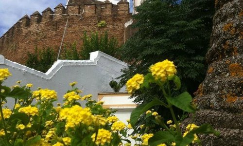Castelo (Alandroal)