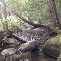 A quite stop on the Cardinal trail