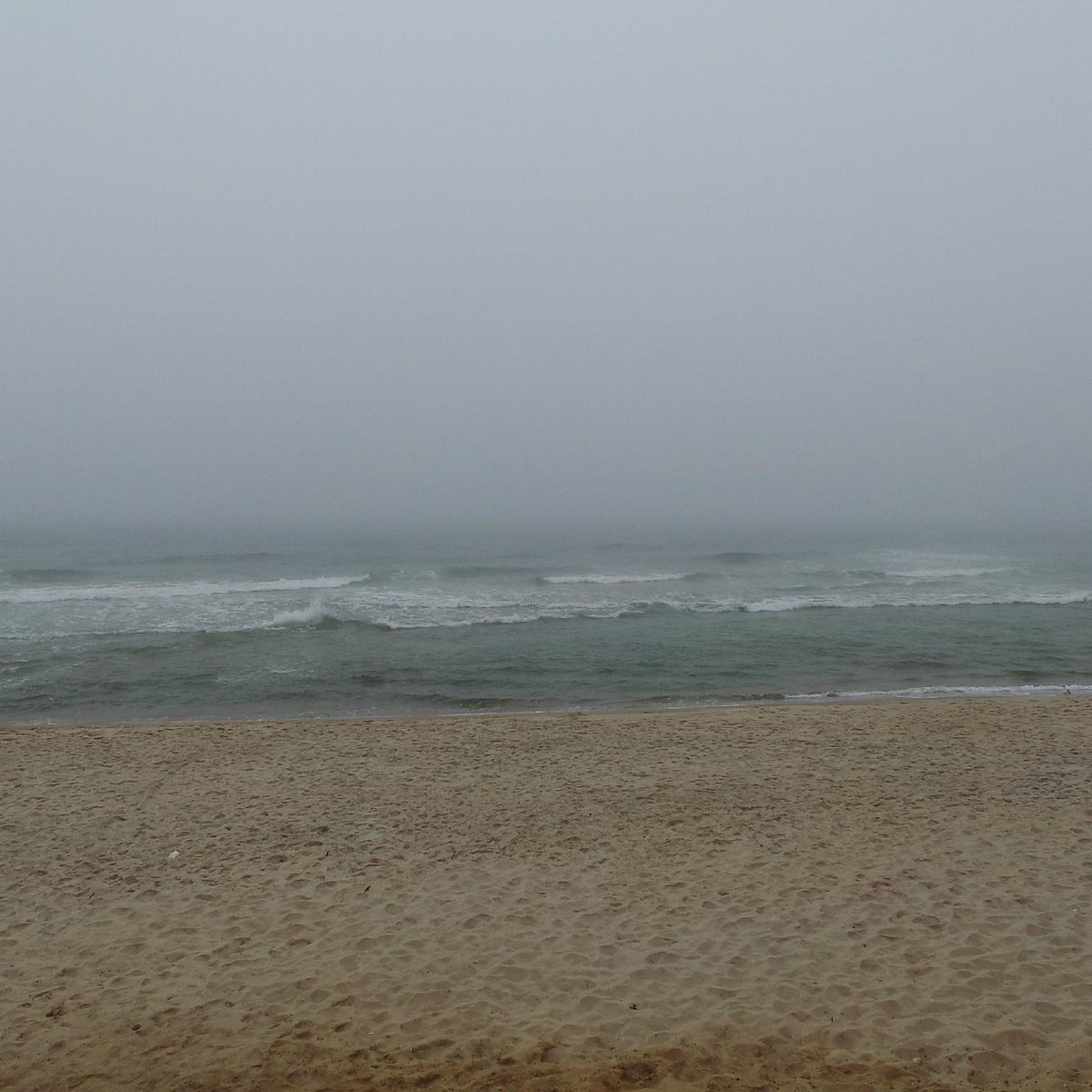 Cisco Beach Nantucket All You Need To Know Before You Go