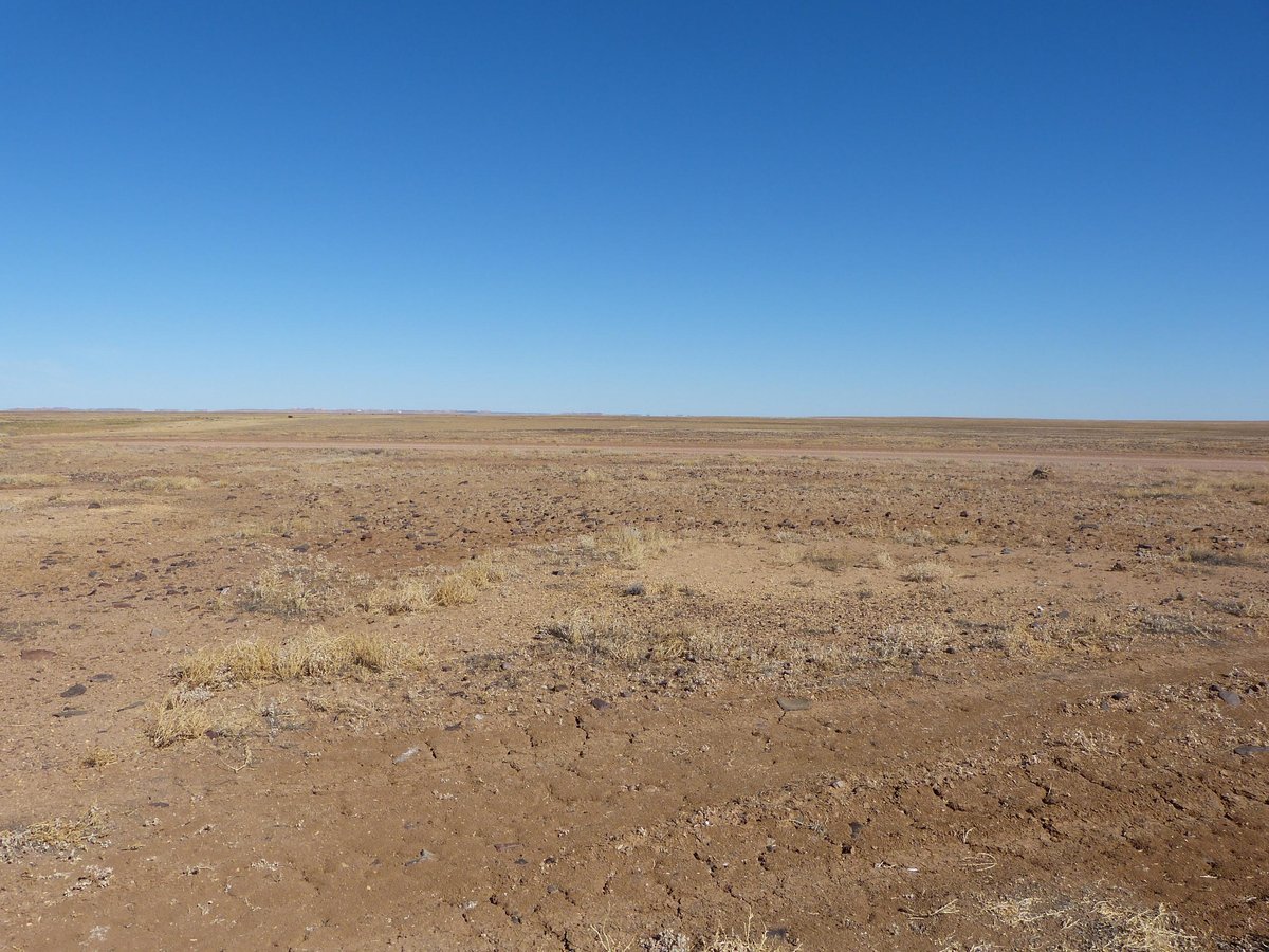 ANDO Tours (Coober Pedy) - All You Need to Know BEFORE You Go