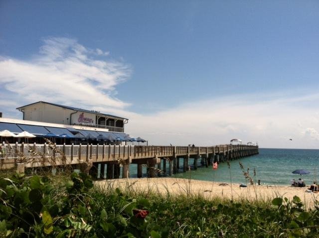 is lake worth beach dog friendly