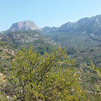 Puig Major