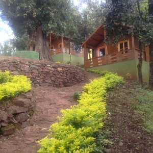 The cottages again