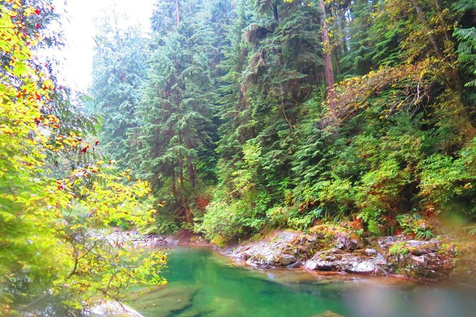 LYNN CANYON PARK All You Need to Know BEFORE You Go with Photos