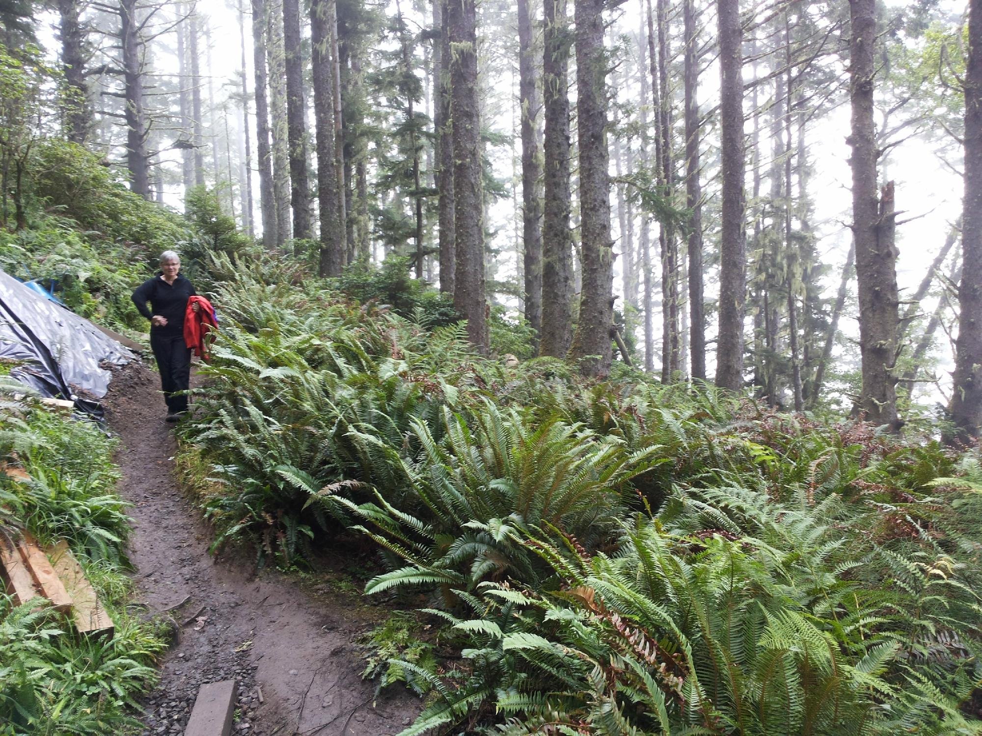 Ozette loop trail hotsell