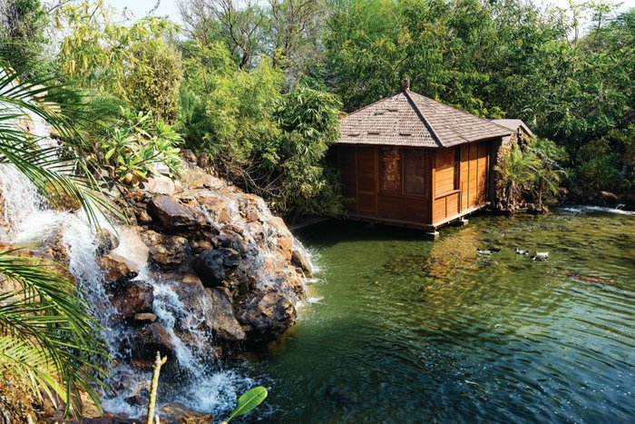 THE TREE HOUSE RESORT - Updated 2024 Reviews, Photos & Prices