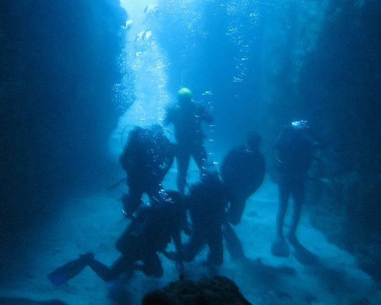 Octopus Dive Nusa Penida - All You Need to Know BEFORE You Go (2024)