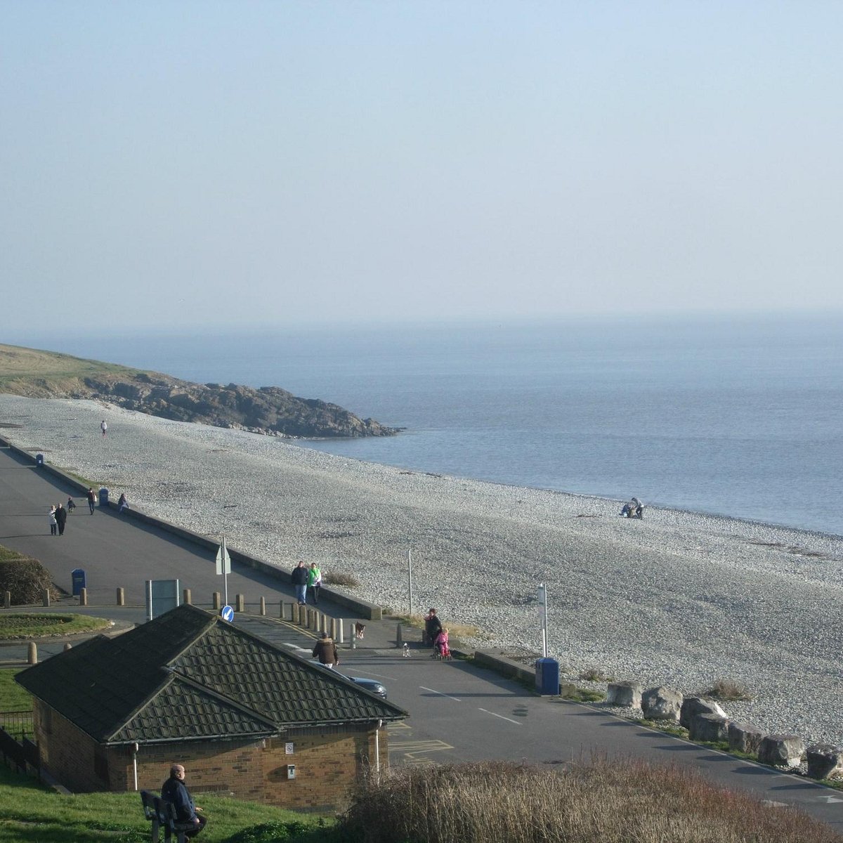 is barry island beach dog friendly