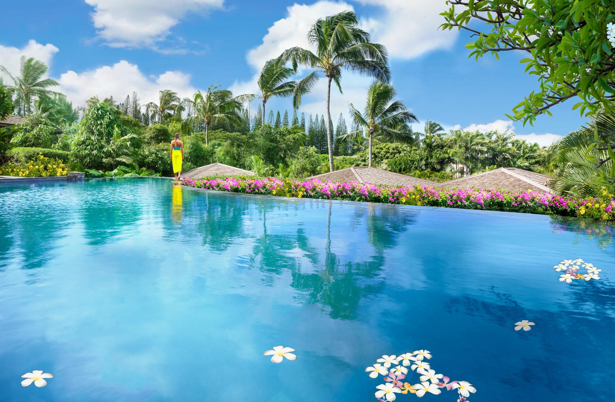 Montage Kapalua Bay Pool Pictures Reviews Tripadvisor   Montage Kapalua Bay 