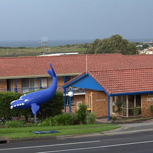 Only Motel with a Whale out Front