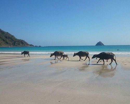 tour lombok terbaik