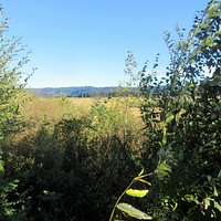Stieigerwald Lake National Wildlife Refuge, Washougal, WA