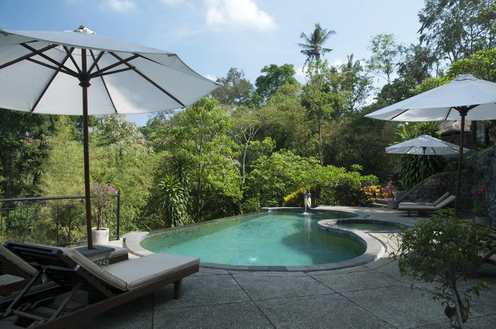 Ubud Dedari Villas Pool: Pictures & Reviews - Tripadvisor