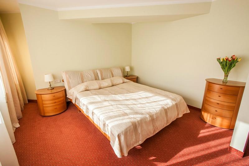 Hotel photo 39 of AirInn Vilnius Hotel.