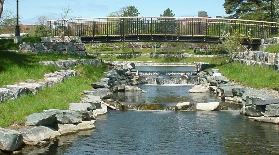 Duck Pond fishway