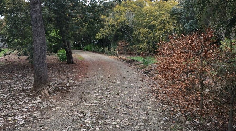 A hedged driveway hides the sanctuary within