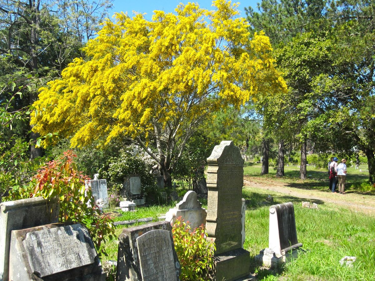 are dogs allowed in rookwood cemetery